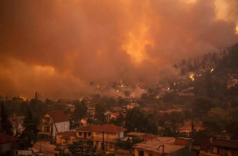 incendi sull' isola di evia in grecia 4