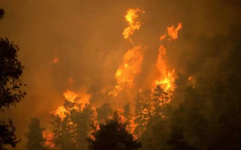 incendi sull' isola di evia in grecia 5