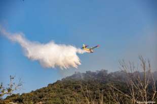 incendio in costa azzurra 11