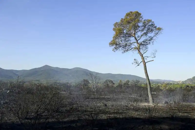 incendio in costa azzurra 2