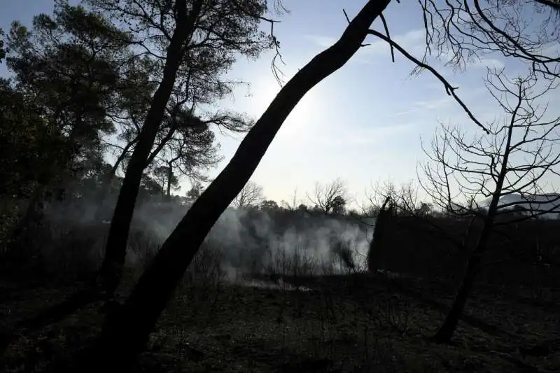 incendio in costa azzurra 3