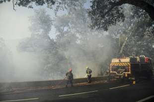 incendio in costa azzurra 8