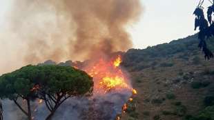 Incendio Monte Catillo Tivoli 3