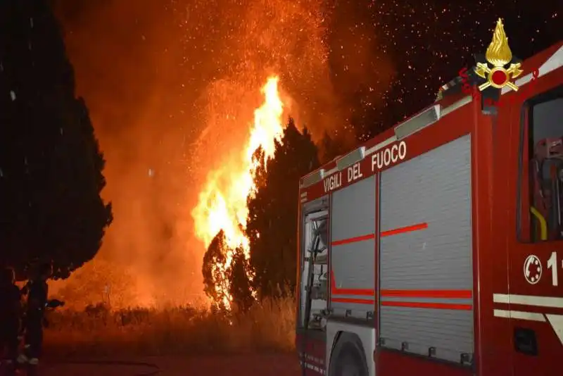 incendio petralia soprana in sicilia  3