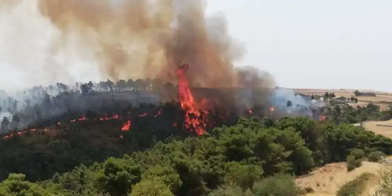 incendio sicilia 2