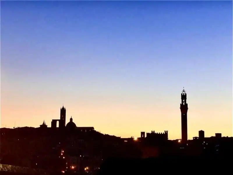 LO SKYLINE DI SIENA 