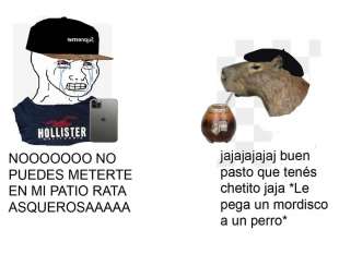 meme carpincho argentina 7