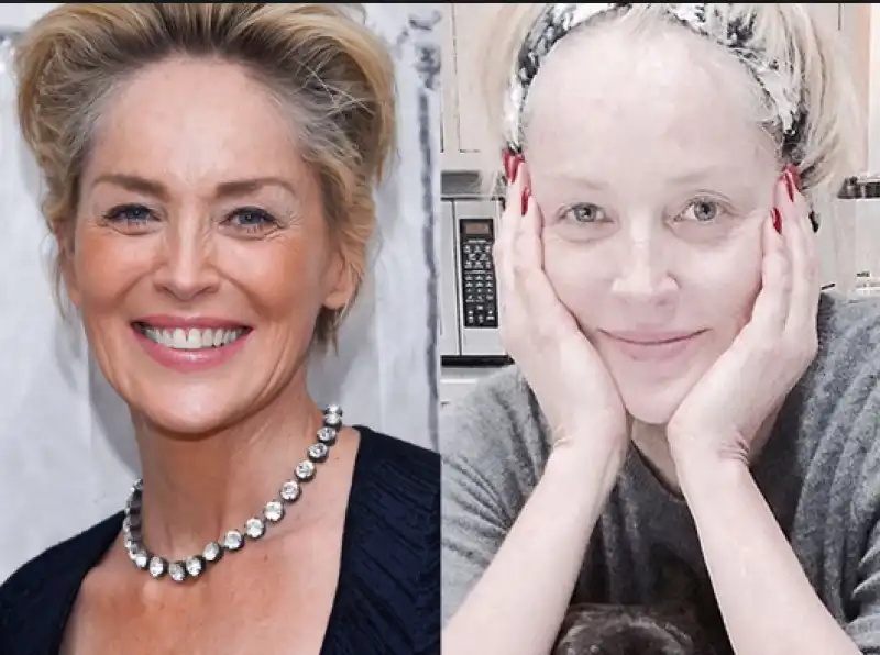 sharon stone oggi