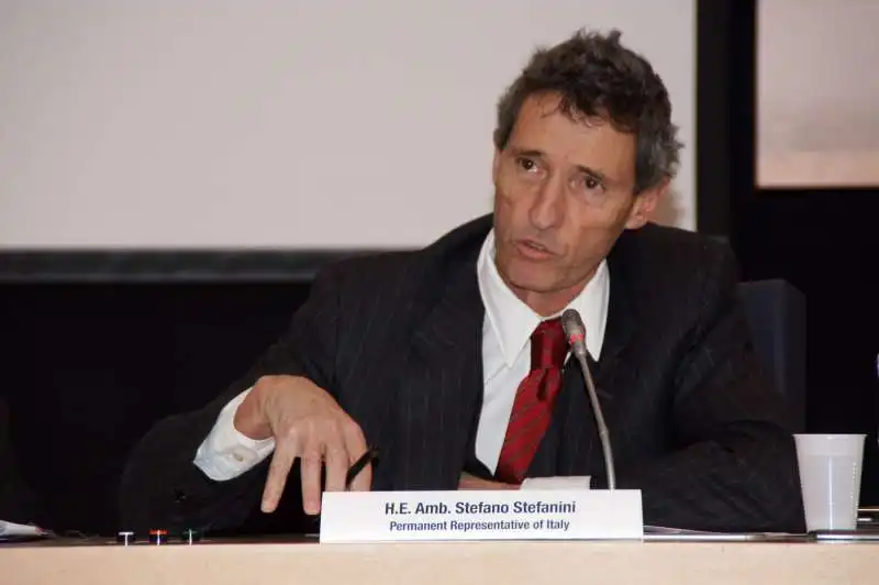 stefano stefanini 