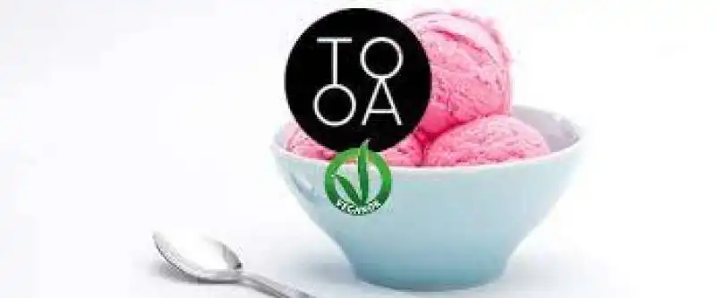 tooa macchina per gelato 7