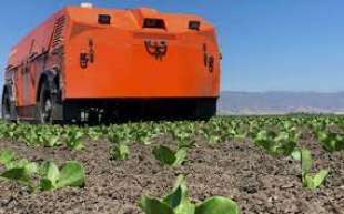 Un robot diserbante della Farmwise 2