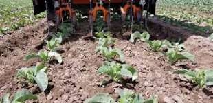 Un robot diserbante della Farmwise 5