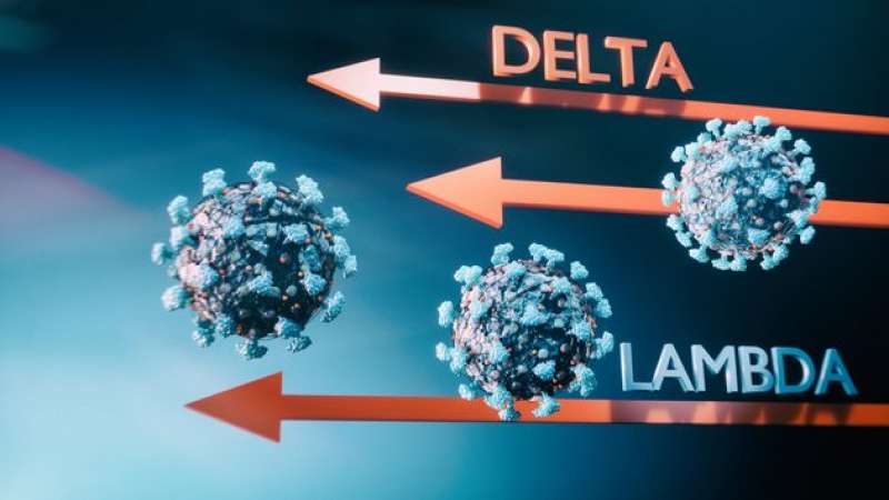 VARIANTE DELTA E LAMBDA