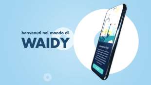 waidy app