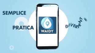 waidy app