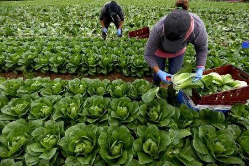 AGRICOLTORI GRAN BRETAGNA