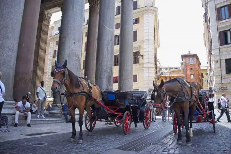 botticelle roma 