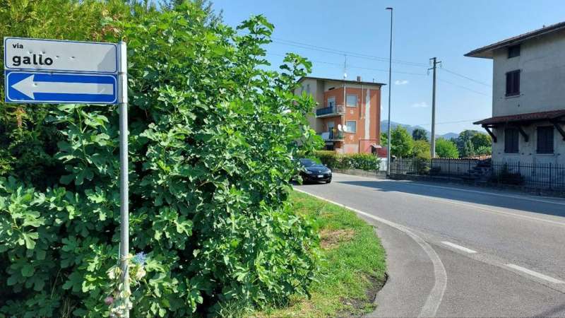 cartello stradale colpito da proiettili a corte franca