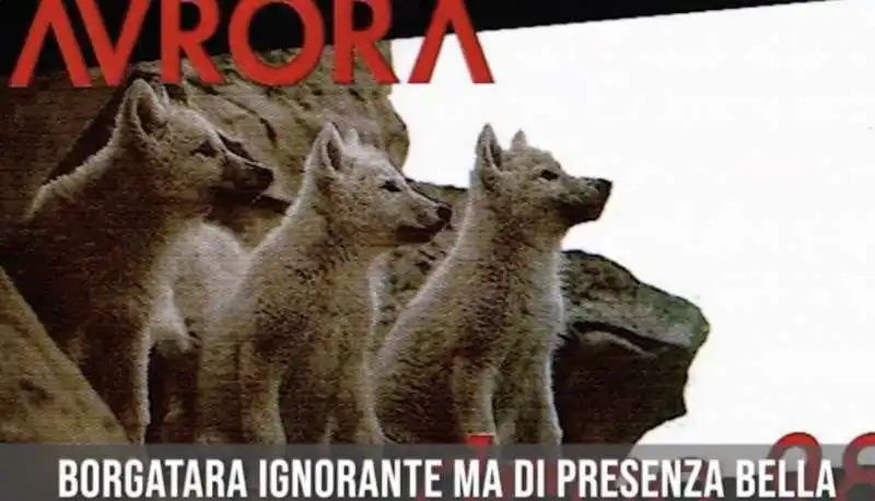 coatto antico   la canzone degli aurora dedicata a giorgia meloni   3