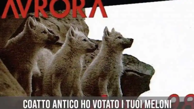 coatto antico   la canzone degli aurora dedicata a giorgia meloni   4