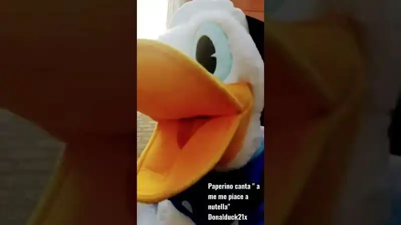 DonaldDuck21x