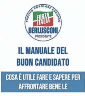 il manuale del buon candidato