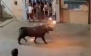 il toro incorna ragazzo di 24 anni a vallada4