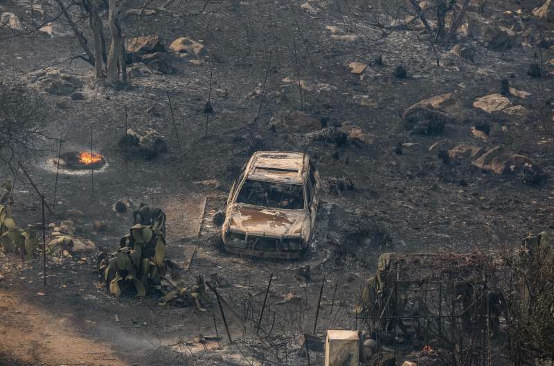 incendi a palermo 4