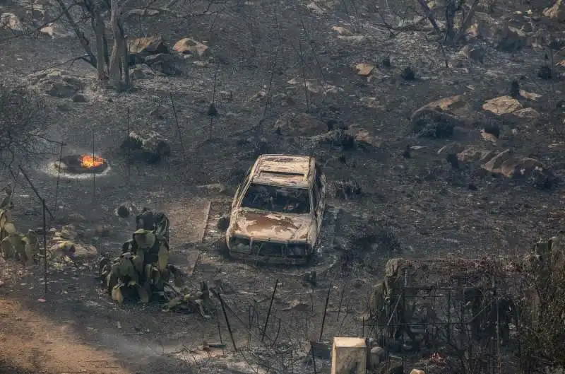 incendi a palermo   4