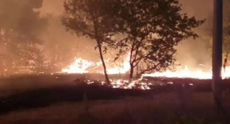 incendi in puglia 2