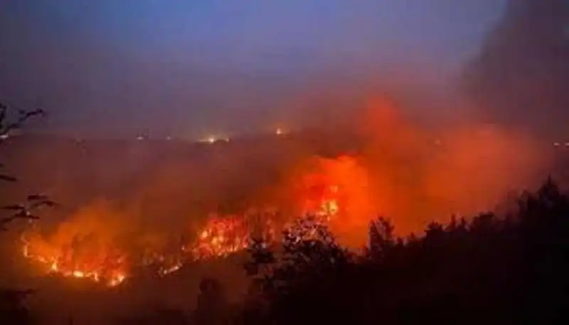 incendi in puglia 3