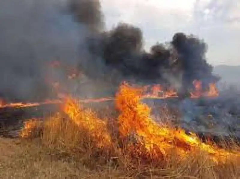 incendi in sicilia 3