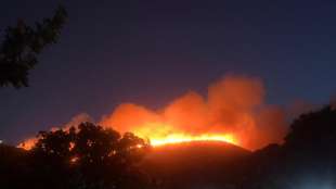 incendio pantelleria 6