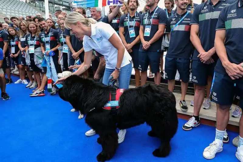 iniziiano gli europei di nuoto  foto fama gmt 004