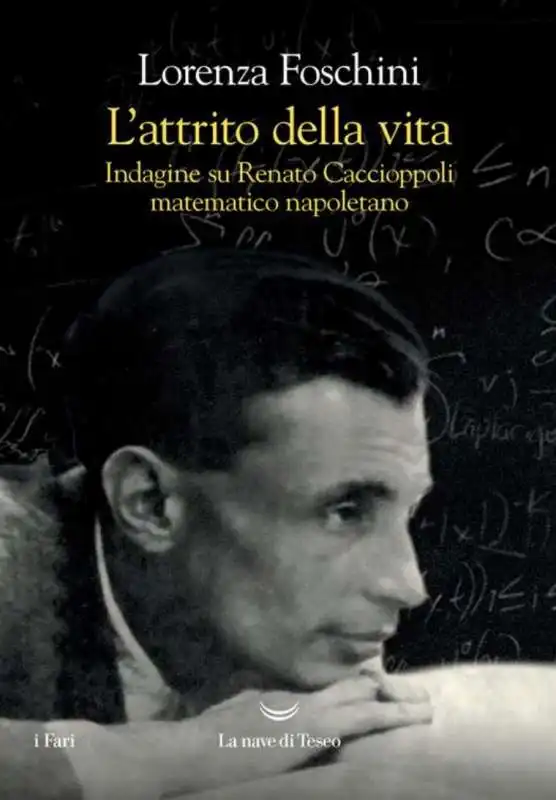 L'attrito della vita. Indagine su Renato Caccioppoli matematico napoletano

