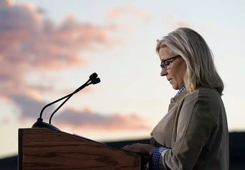 liz cheney 1 