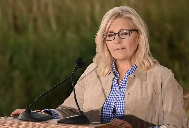 liz cheney ammette la sconfitta