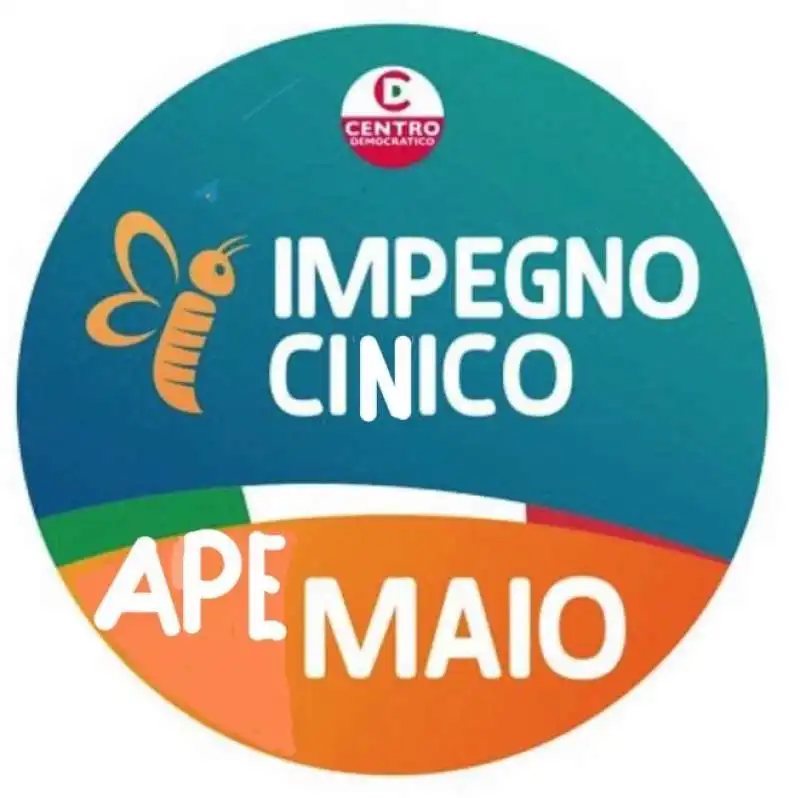 MEME SUL SIMBOLO DI IMPEGNO CIVICO - LUIGI DI MAIO 