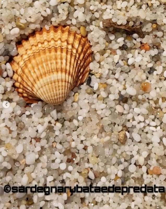 sabbia rubata in sardegna