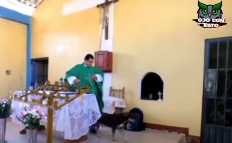 SACERDOTE PRENDE A CALCI UN CANE IN PERU