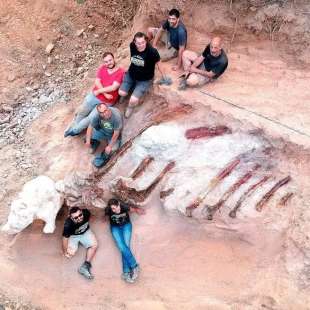 scheletro di dinosauro lungo 24 metri rinvenuto In Portogallo rinvenuto