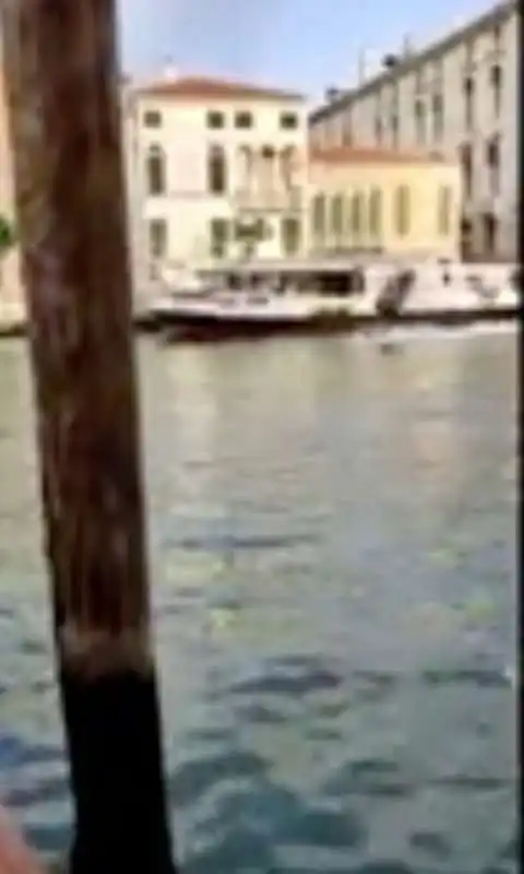 surf nel canal grande a venezia 11