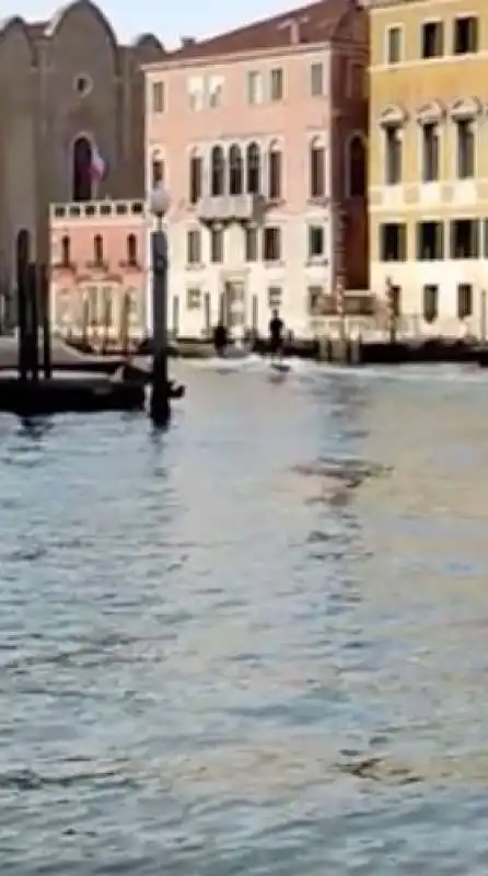 surf nel canal grande a venezia 5