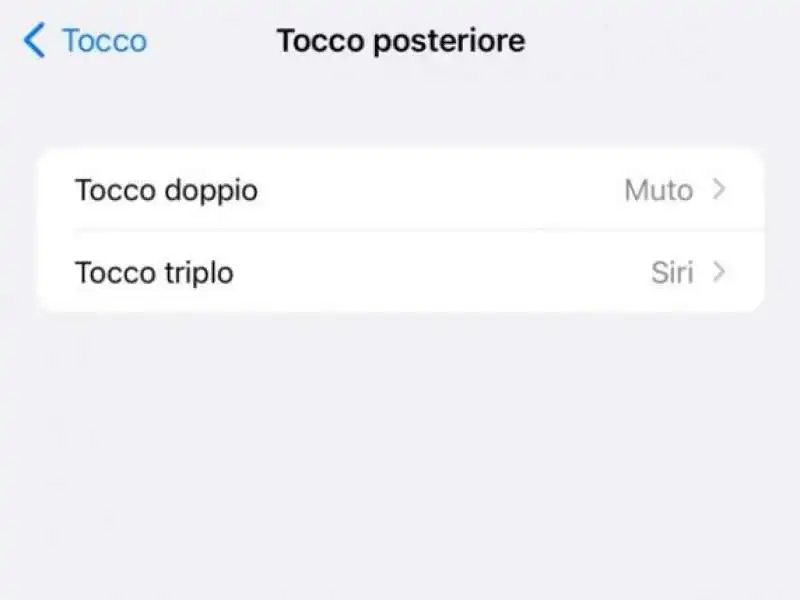 tocco posteriore iphone 