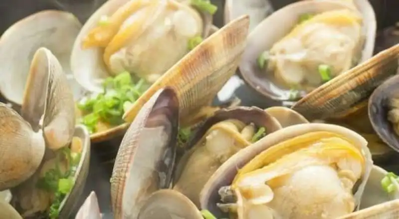 VONGOLE 