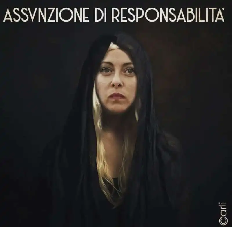 ASSUNZIONE DI RESPONSABILITA - MEME BY EMILIANO CARLI 