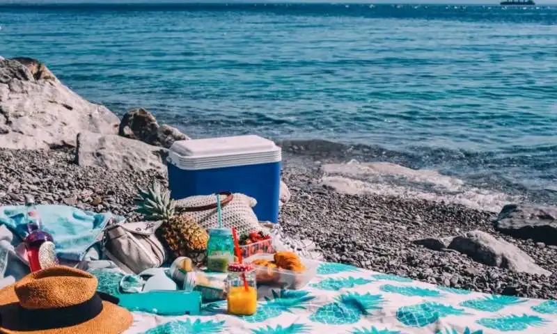 cibo in spiaggia 7