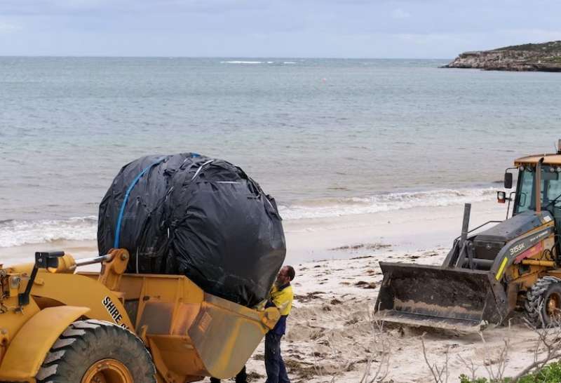 cilindro ritrovato su una spiaggia in australia 2