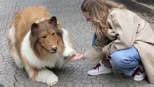 giappone uomo spende 13mila euro per diventare un cane 1