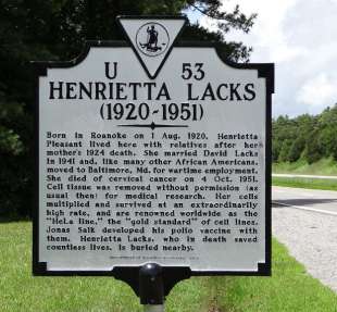 henrietta lacks 4